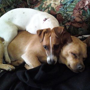 Meet your Posher, Anna